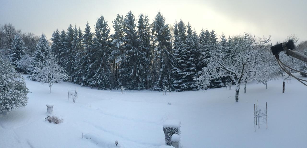 Gite Et Chambre D'Hotes La Petite Source Dabo Екстериор снимка