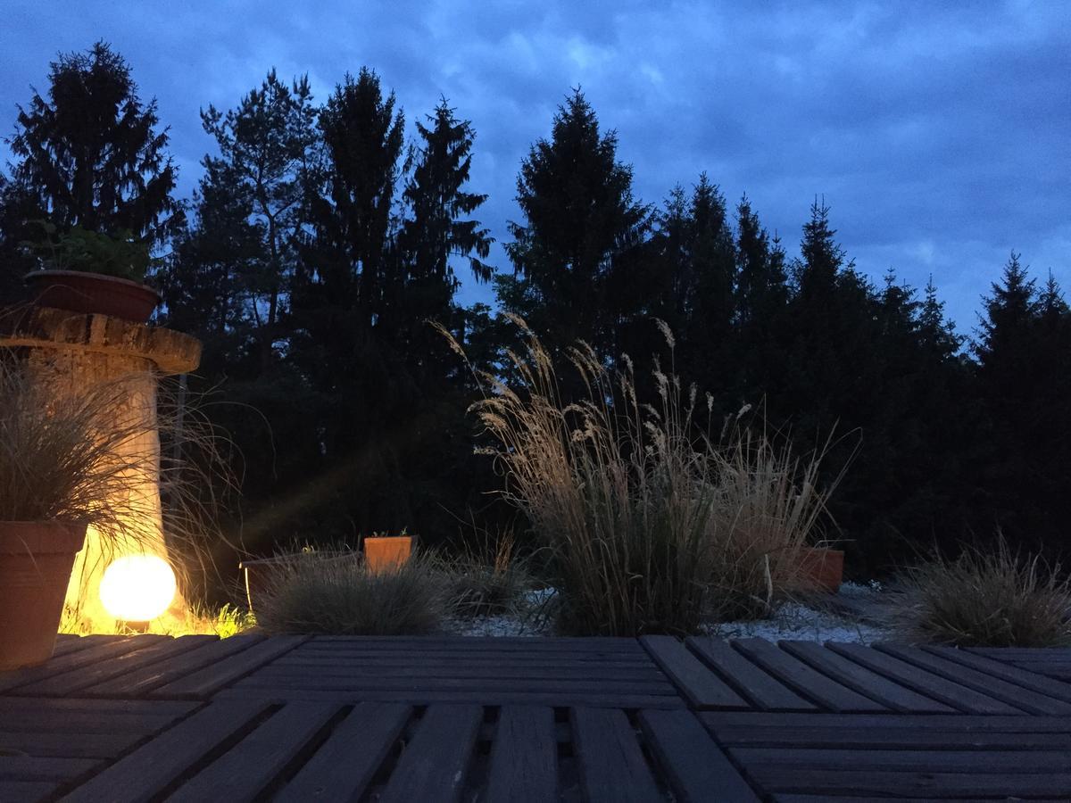 Gite Et Chambre D'Hotes La Petite Source Dabo Екстериор снимка